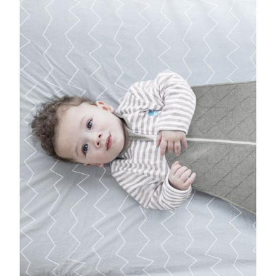 Baby Sleeping Bag / Love to Dream Sleeping Bag 2.5 Tog