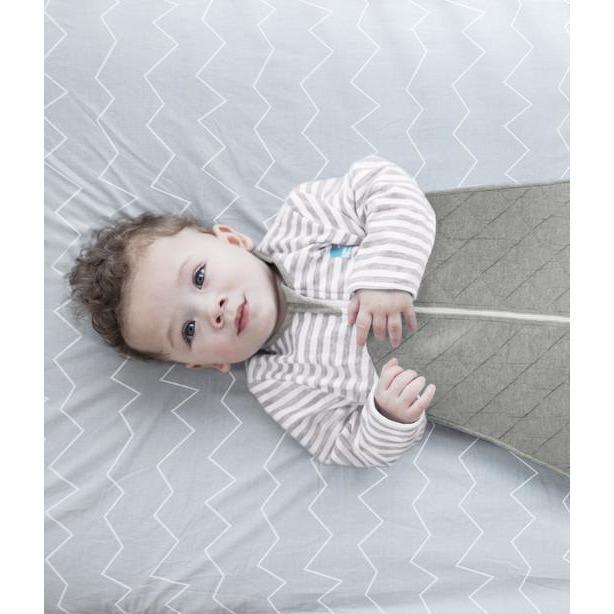 Baby Sleeping Bag / Love to Dream Sleeping Bag 2.5 Tog