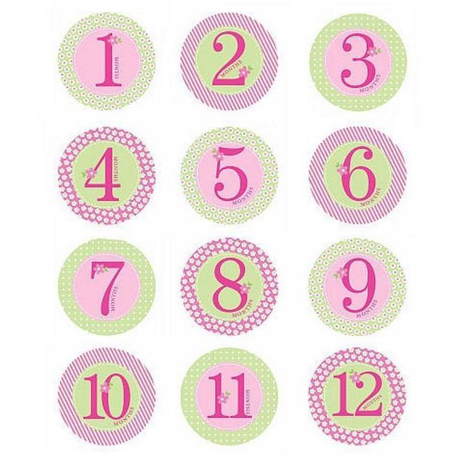 Pearhead My First Year Belly Stickers - Molly's Baby Room