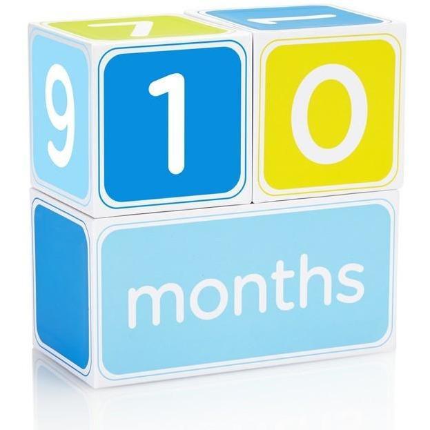 Pearhead Baby Milestone Blocks - Molly's Baby Room