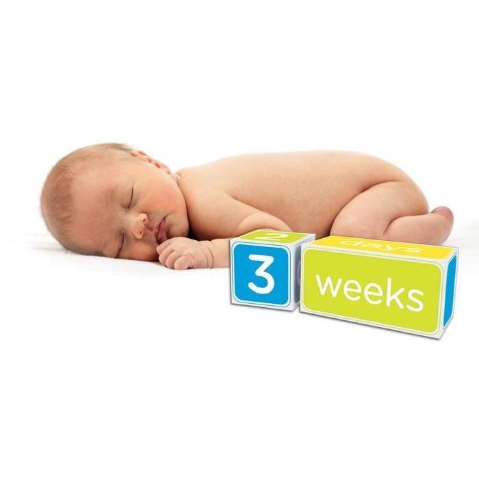 Pearhead Baby Milestone Blocks - Molly's Baby Room