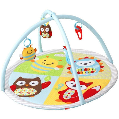 Skip Hop Explorer & More Funscape Gym - Molly's Baby Room