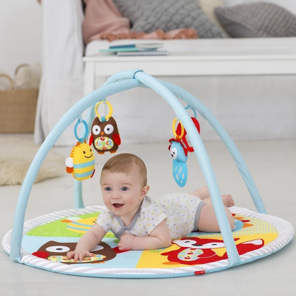 Skip Hop Explorer & More Funscape Gym - Molly's Baby Room