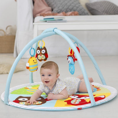 Skip Hop Explorer & More Funscape Gym - Molly's Baby Room