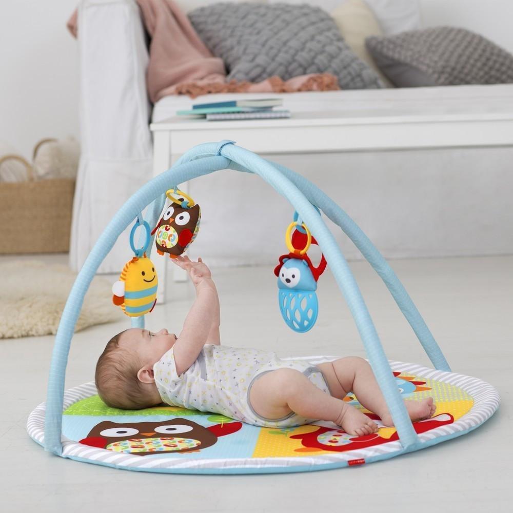 Skip Hop Explorer & More Funscape Gym - Molly's Baby Room