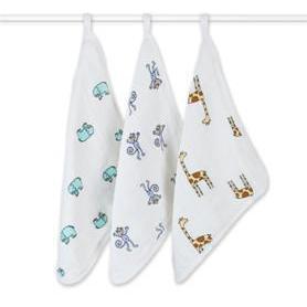 Aden & Anais Washcloth Set (3 pack) - Molly's Baby Room