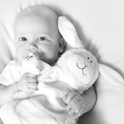 Sleepytot Bunny Pacifier , Sleepytot Bunny Toy