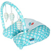 Babyhood 4 in 1 Nursing Pillow with Toy Bar - Molly's Baby Room