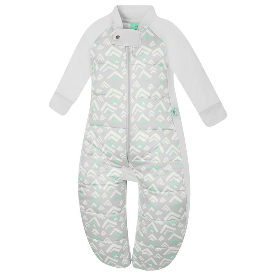 Ergopouch Sleep Suit Bag 2.5Tog - Molly's Baby Room