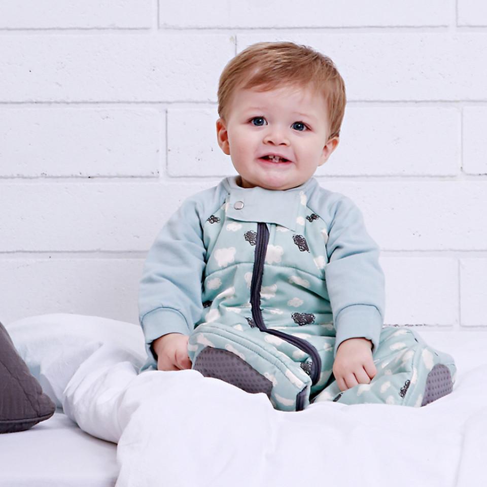 Ergopouch Sleep Suit Bag 2.5Tog - Molly's Baby Room