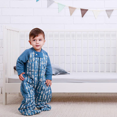 ErgoPouch Sleep Suit Bag 3.5tog - Molly's Baby Room