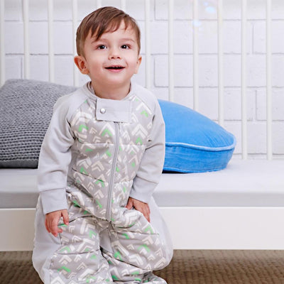 Ergopouch Sleep Suit Bag 2.5Tog - Molly's Baby Room