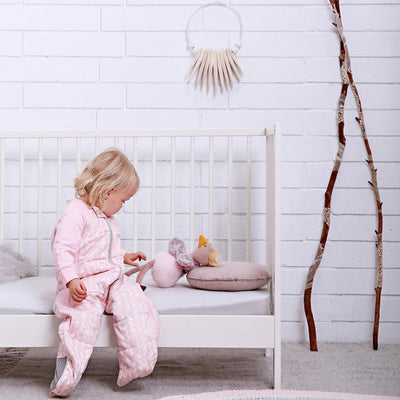 Ergopouch Sleep Suit Bag 2.5Tog - Molly's Baby Room