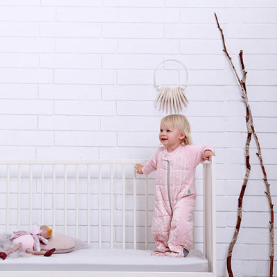 Ergopouch Sleep Suit Bag 2.5Tog - Molly's Baby Room