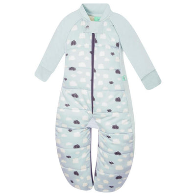 Ergopouch Sleep Suit Bag 2.5Tog - Molly's Baby Room