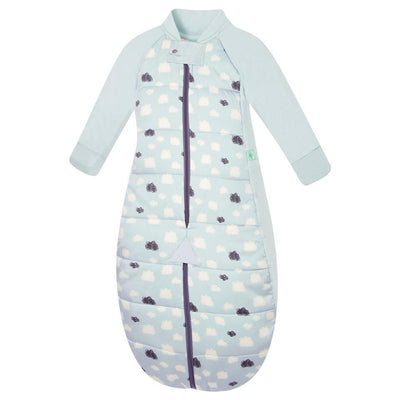 Ergopouch Sleep Suit Bag 2.5Tog - Molly's Baby Room